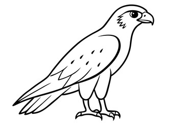 Obraz premium hawk silhouette line art vector illustration with a white background