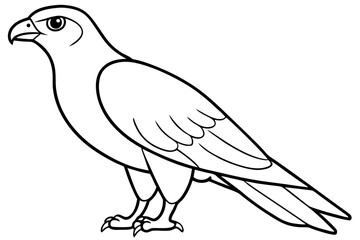 hawk silhouette line art vector illustration with a white background