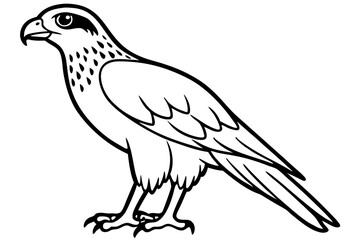 Obraz premium hawk silhouette line art vector illustration with a white background