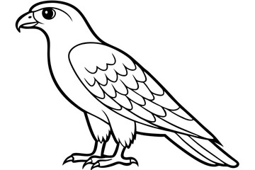 hawk silhouette line art vector illustration with a white background