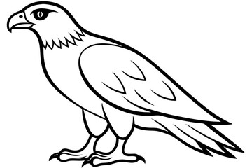 Fototapeta premium hawk silhouette line art vector illustration with a white background