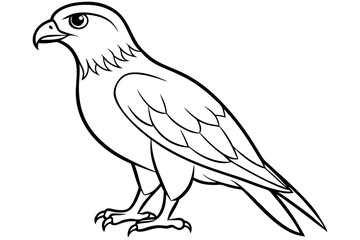 hawk silhouette line art vector illustration with a white background