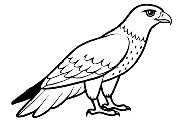 hawk silhouette line art vector illustration with a white background