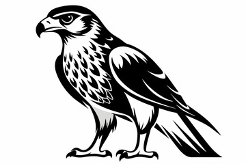 hawk silhouette line art vector illustration with a white background