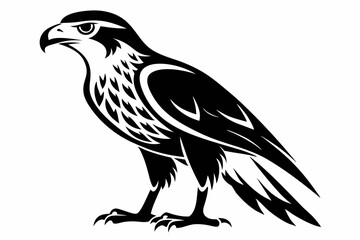 hawk silhouette line art vector illustration with a white background