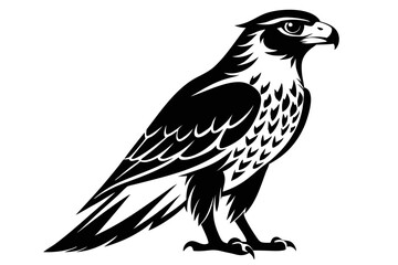 hawk silhouette line art vector illustration with a white background