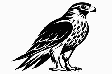 hawk silhouette line art vector illustration with a white background