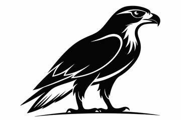 hawk silhouette line art vector illustration with a white background