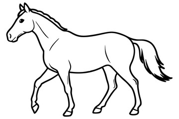 horse silhouette line art vector illustration with a white background