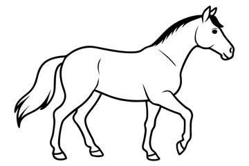 horse silhouette line art vector illustration with a white background