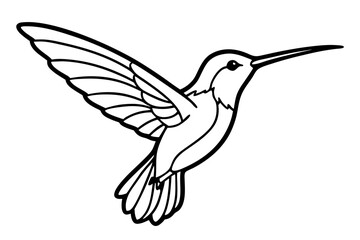 Obraz premium hummingbird silhouette line art vector illustration with a white background
