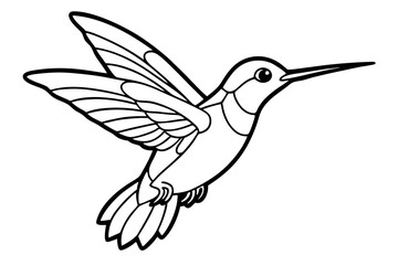 hummingbird silhouette line art vector illustration with a white background