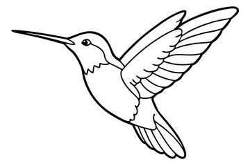hummingbird silhouette line art vector illustration with a white background