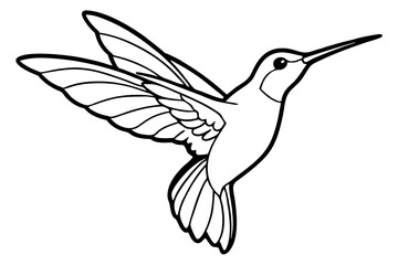 hummingbird silhouette line art vector illustration with a white background