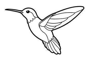 hummingbird silhouette line art vector illustration with a white background