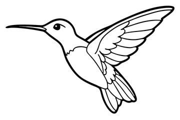 hummingbird silhouette line art vector illustration with a white background