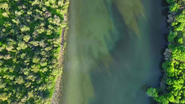 Aerial View of river, Beautiful Aerial View of African Jungles forest and River, Landscape in aerial drone shot. Adove calm tranquil river in Jijel Algeria North Africa, River and green fores trees.