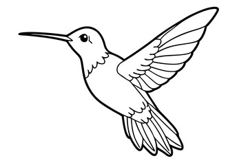 hummingbird silhouette line art vector illustration with a white background