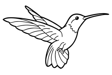 hummingbird silhouette line art vector illustration with a white background