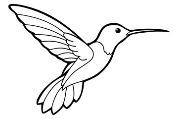 hummingbird silhouette line art vector illustration with a white background