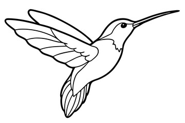 hummingbird silhouette line art vector illustration with a white background