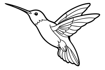 hummingbird silhouette line art vector illustration with a white background