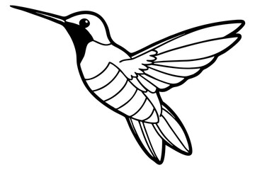 Obraz premium hummingbird silhouette line art vector illustration with a white background