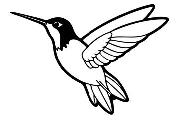 hummingbird silhouette line art vector illustration with a white background