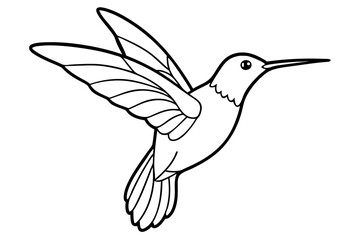 hummingbird silhouette line art vector illustration with a white background