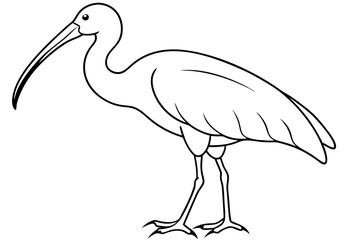 ibis silhouette line art vector illustration with a white background