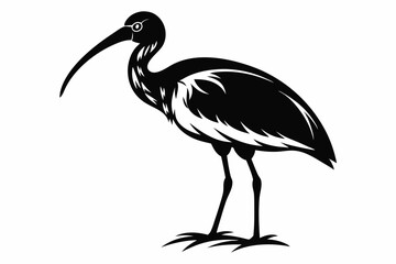 ibis silhouette line art vector illustration with a white background