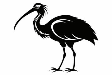 Obraz premium ibis silhouette line art vector illustration with a white background