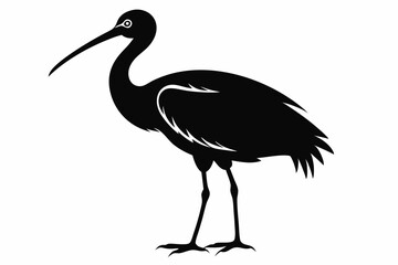 ibis silhouette line art vector illustration with a white background