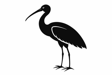 ibis silhouette line art vector illustration with a white background