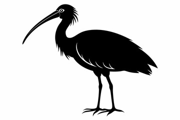 Fototapeta premium ibis silhouette line art vector illustration with a white background