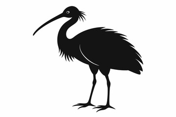 ibis silhouette line art vector illustration with a white background