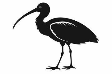 ibis silhouette line art vector illustration with a white background