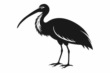 ibis silhouette line art vector illustration with a white background
