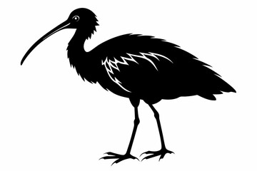 ibis silhouette line art vector illustration with a white background
