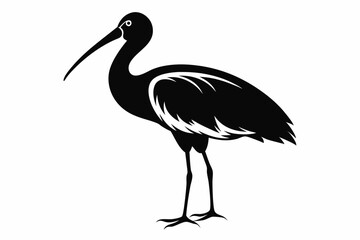 ibis silhouette line art vector illustration with a white background