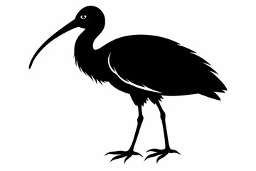 Fototapeta premium ibis silhouette line art vector illustration with a white background
