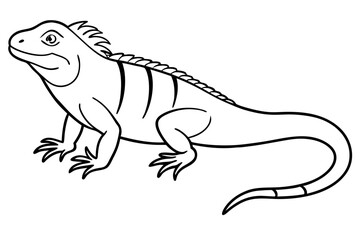 iguana silhouette line art vector illustration with a white background