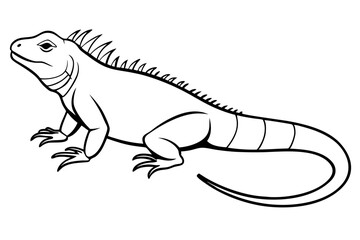 iguana silhouette line art vector illustration with a white background