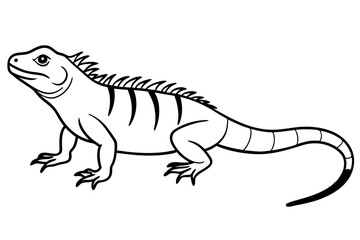 iguana silhouette line art vector illustration with a white background