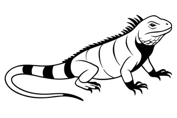 iguana silhouette line art vector illustration with a white background
