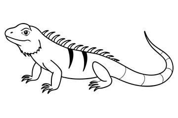 iguana silhouette line art vector illustration with a white background