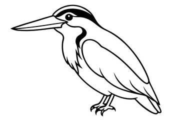 Obraz premium kingfisher silhouette line art vector illustration with a white background