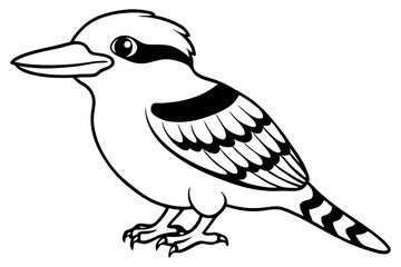 kookaburra silhouette line art vector illustration with a white background