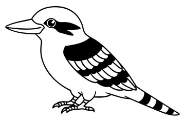kookaburra silhouette line art vector illustration with a white background