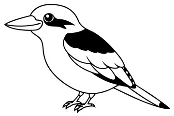 Fototapeta premium kookaburra silhouette line art vector illustration with a white background